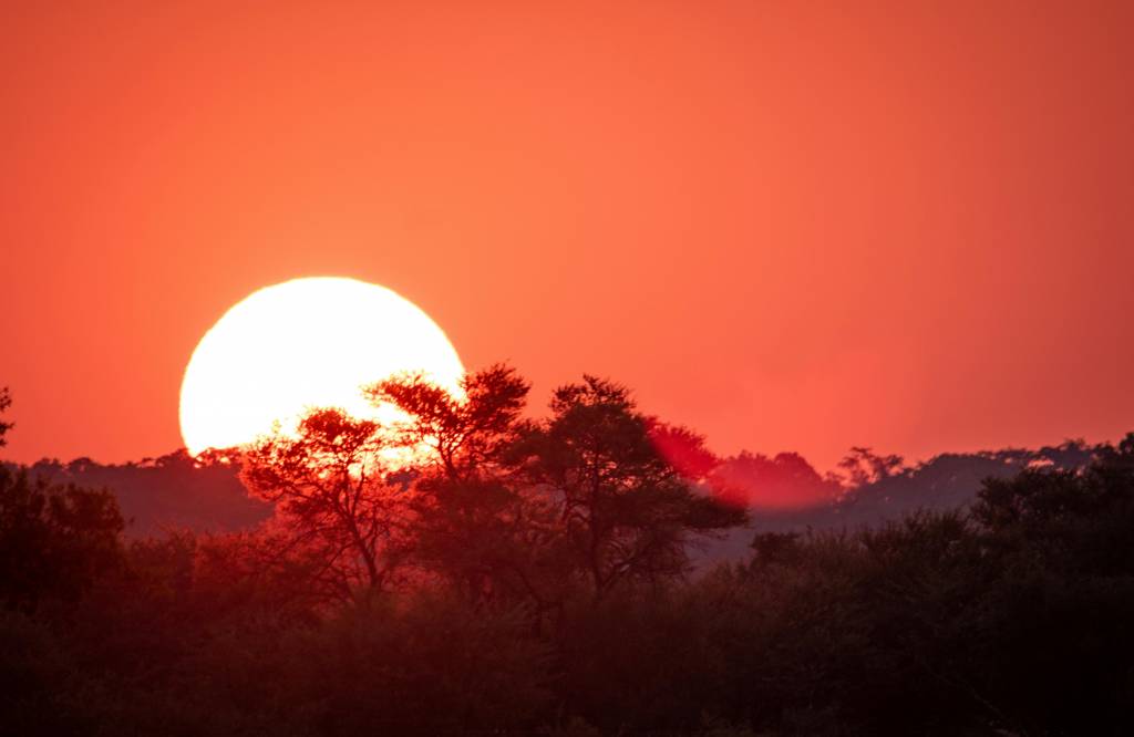 Explorer le Serengeti : Conseils pour une Expérience de Voyage Époustouflante